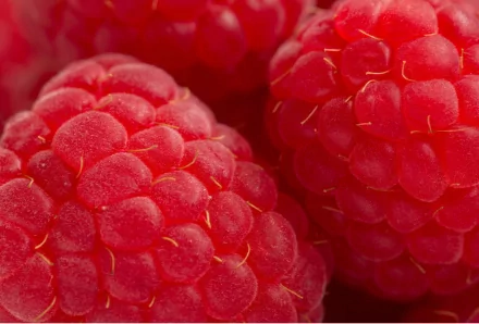 food raspberry HD Desktop Wallpaper | Background Image
