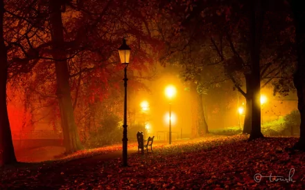 HD photography of a park at night, featuring illuminated lampposts, a bench, and autumn leaves creating a warm, atmospheric desktop wallpaper background.