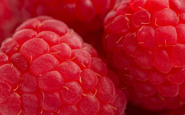 food raspberry HD Desktop Wallpaper | Background Image