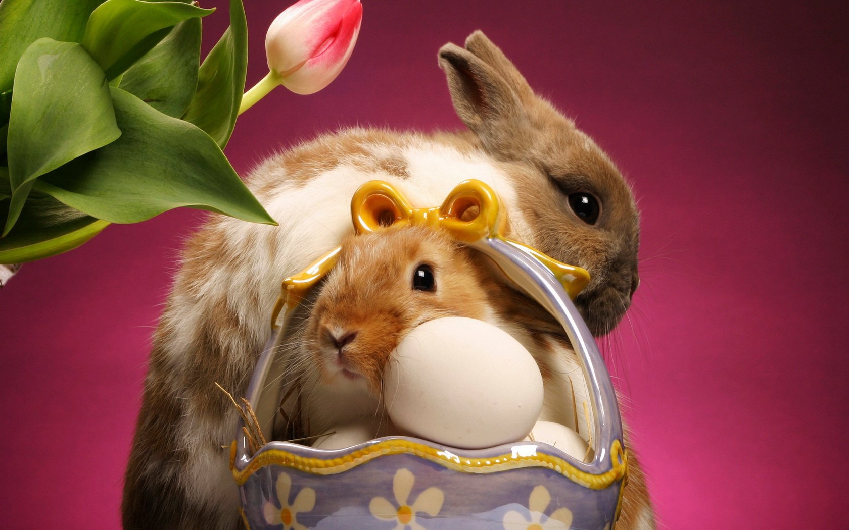 A charming Easter-themed HD desktop wallpaper featuring a rabbit and a guinea pig nestled by a pastel egg in a decorative basket, complemented by tulip flowers.