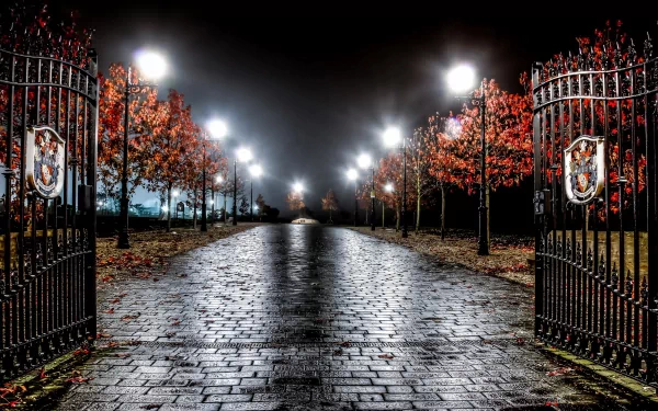 2K Quad HD PC desktop wallpaper: wet cobblestone avenue framed by open man-made wrought-iron gates, lined with glowing lamp posts and autumn trees under a moody night sky.