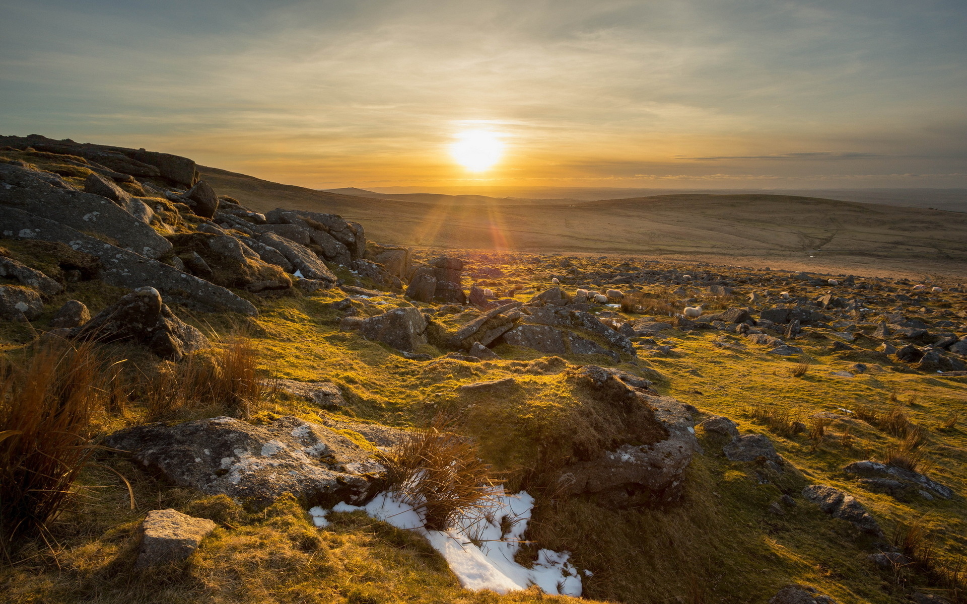 Download Nature Sunbeam HD Wallpaper