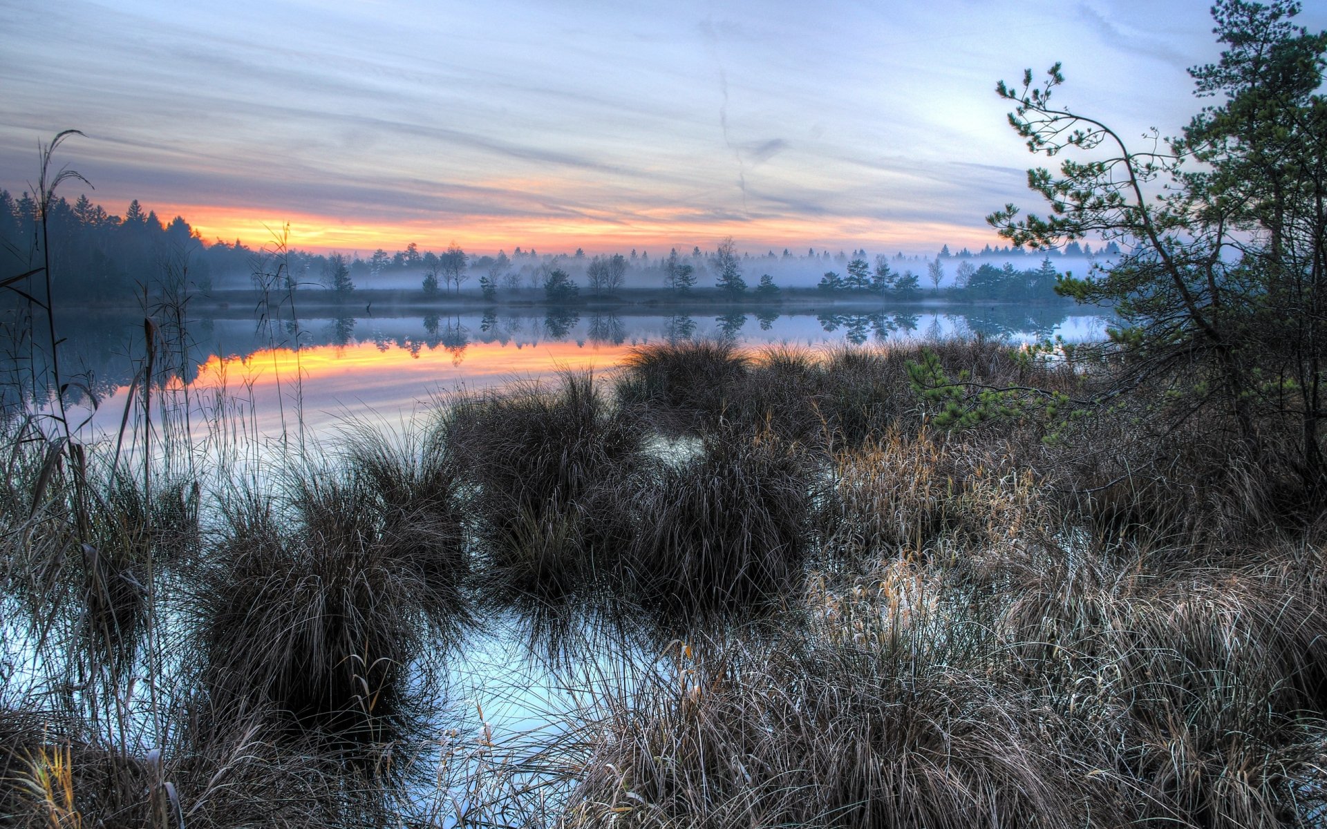 HD desktop wallpaper of a serene lake at sunrise, surrounded by tall grasses and trees under a colorful sky.