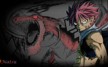 1643 Fairy Tail Hd Wallpapers Background Images Wallpaper Abyss