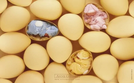 photography baby HD Desktop Wallpaper | Background Image