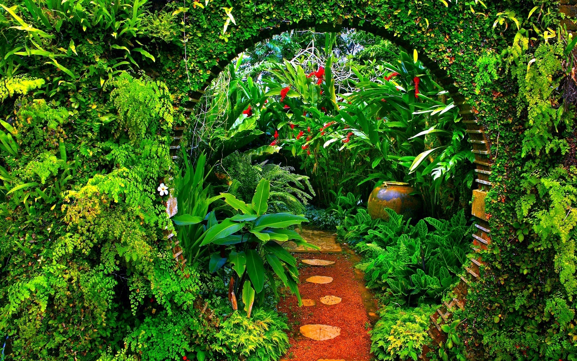 Garden HD Wallpaper | Background Image | 1920x1200 | ID:388475