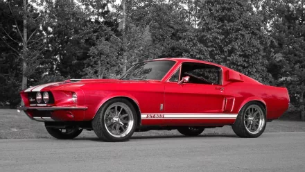 vehicle Ford Mustang GT500 HD Desktop Wallpaper | Background Image