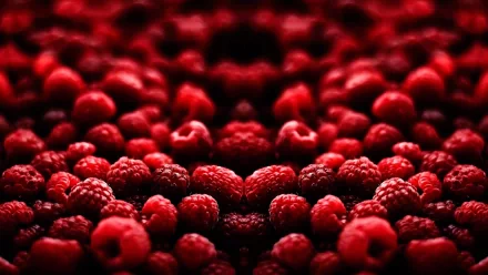 food raspberry HD Desktop Wallpaper | Background Image