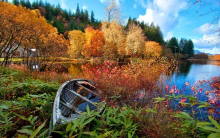 A serene autumn landscape with a boat resting among vibrant foliage by a calm lake, captured in HD as a desktop wallpaper background.