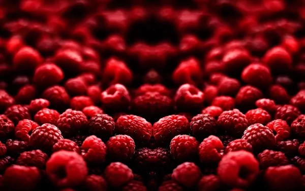 food raspberry HD Desktop Wallpaper | Background Image