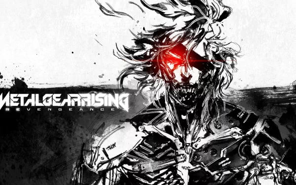 video game Metal Gear Rising: Revengeance HD Desktop Wallpaper | Background Image