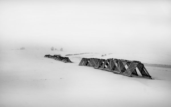 Photography Winter Cold Black & White HD Wallpaper | Background Image