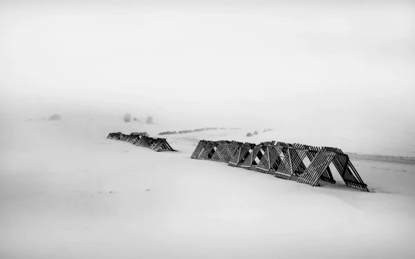 Winter