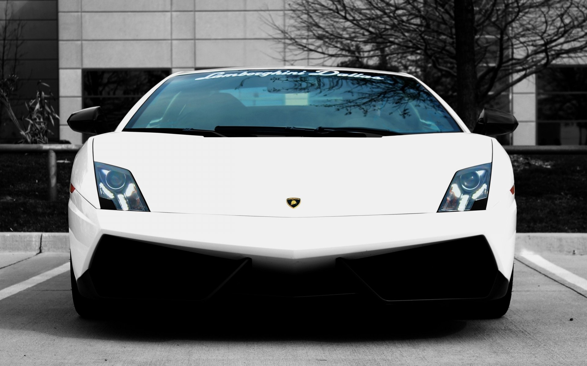 Front view of a white Lamborghini Gallardo parked against a stark black-and-white backdrop — 2K Quad HD PC desktop wallpaper and background.