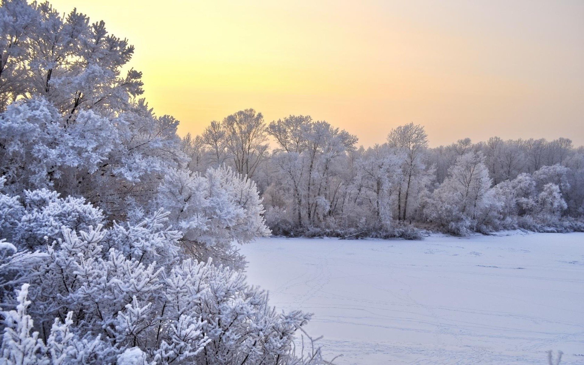 HD PC desktop wallpaper featuring a serene winter landscape with snow-covered trees and a soft pastel sky at sunrise or sunset in nature.