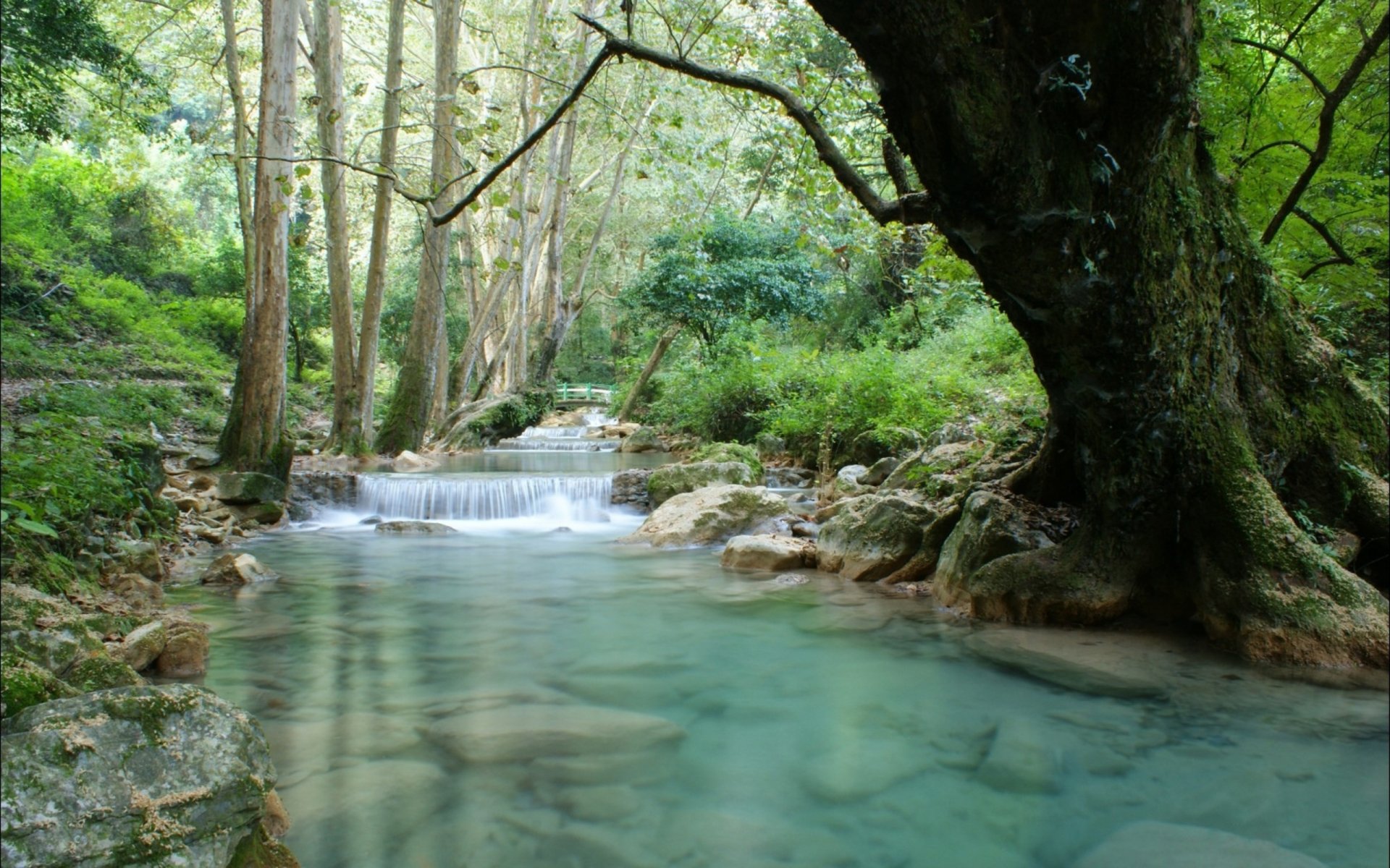 HD PC desktop wallpaper featuring a serene forest stream with clear water flowing gently between lush green trees and rocks.