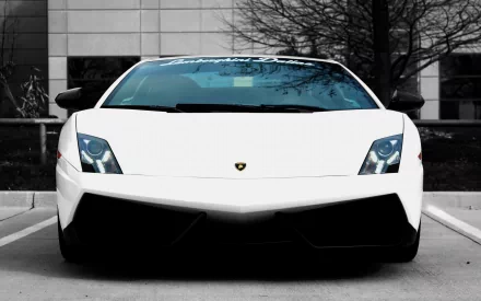 Front view of a white Lamborghini Gallardo parked against a stark black-and-white backdrop — 2K Quad HD PC desktop wallpaper and background.