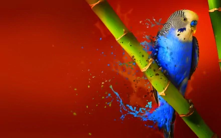 Vibrant HD desktop wallpaper featuring a blue budgerigar perched on green bamboo against a rich red background with dynamic splash effects.