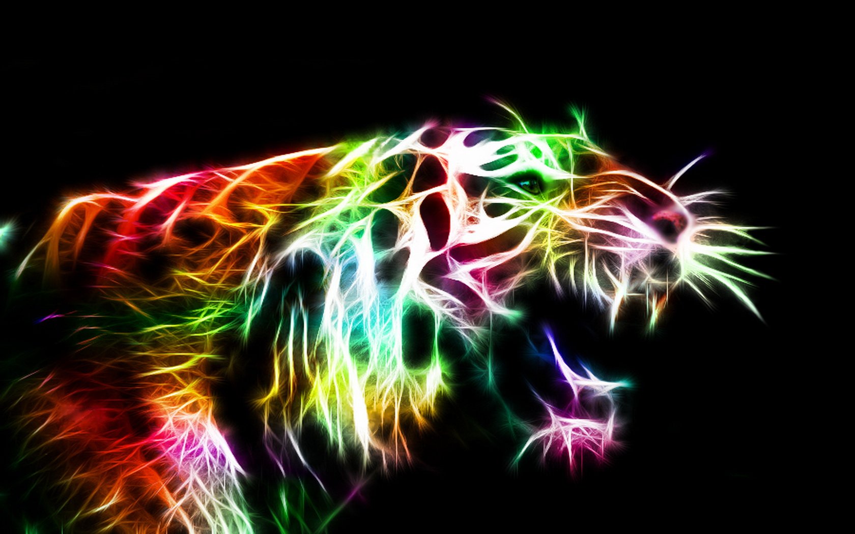 colorful tiger wallpaper