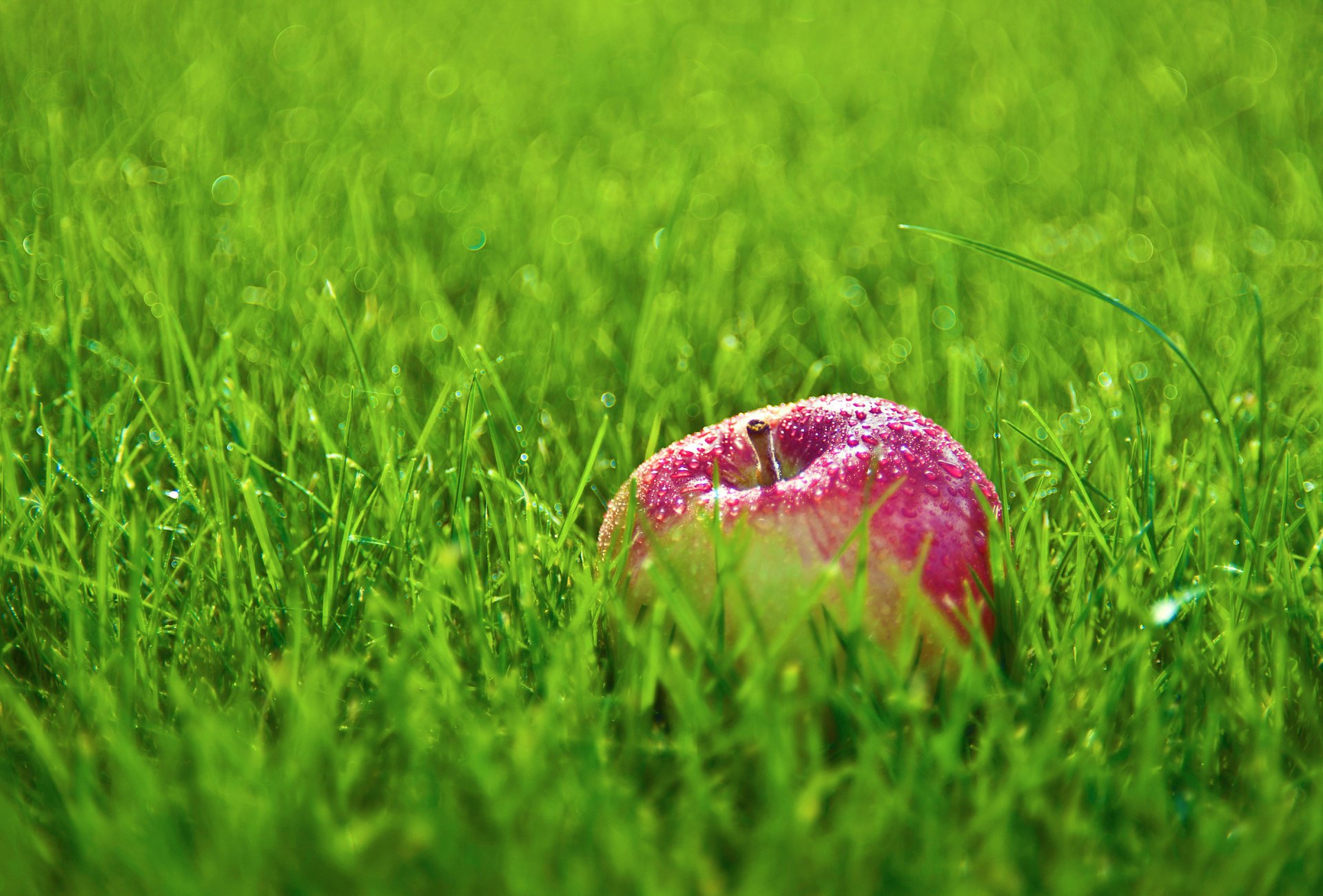 HD desktop wallpaper featuring a close-up of a fresh red apple resting in vibrant green grass.