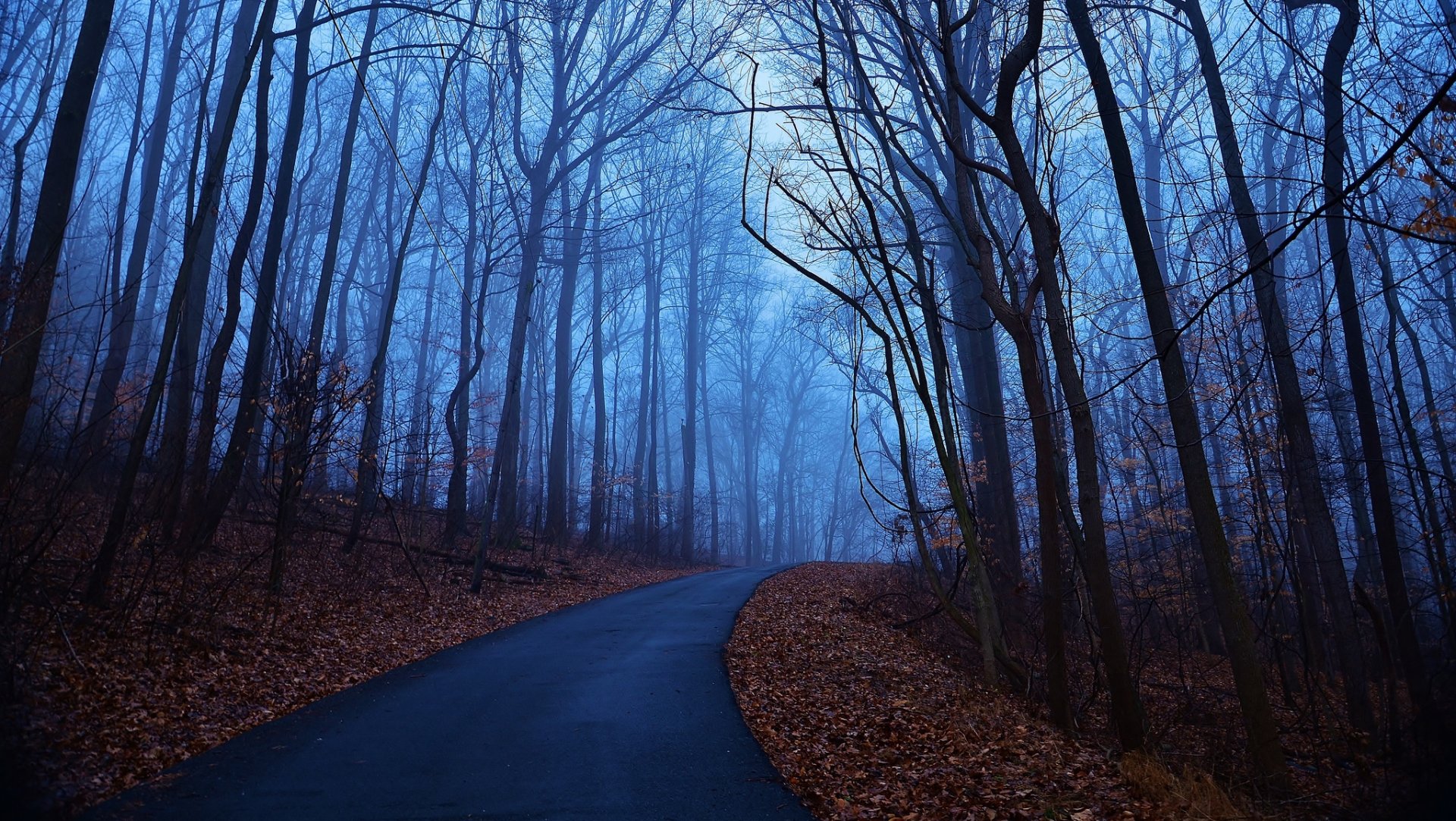 HD desktop wallpaper of a man-made road winding through a misty, leafless forest under a dimly lit sky.