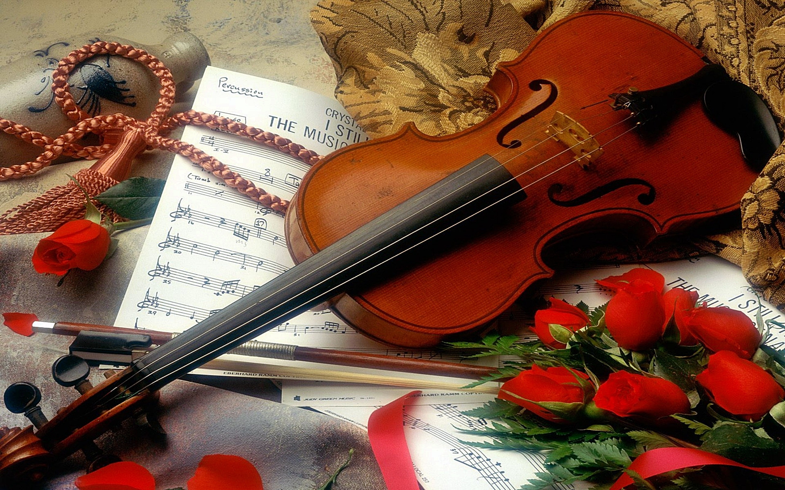 Rediscover the Joy of Playing the Violin