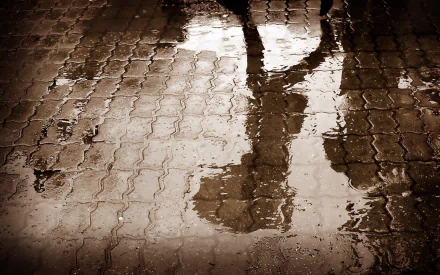 A serene HD desktop wallpaper featuring raindrops reflecting on cobblestone, capturing an atmospheric moment with soft shadows and a tranquil ambiance.
