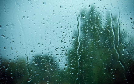 photography raindrops HD Desktop Wallpaper | Background Image