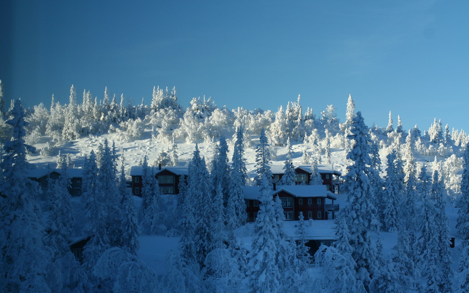 HD desktop wallpaper featuring a man-made cabin nestled among snow-covered trees under a clear blue sky.