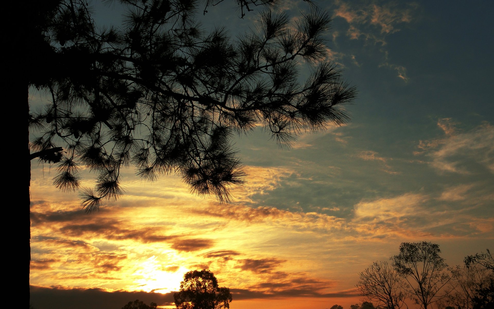 Golden Sunset Serenity: HD Nature Wallpaper
