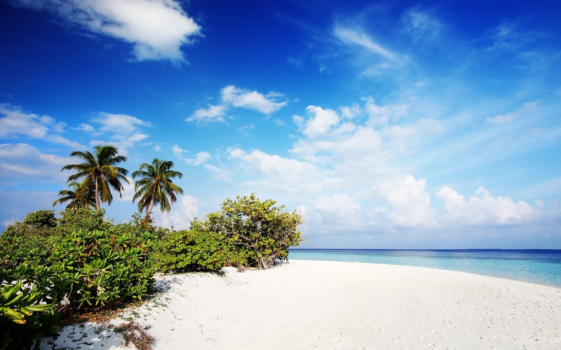 A serene tropical beach with soft white sand, lush greenery, and palm trees under a vibrant blue sky, capturing the beauty of an idyllic island paradise.