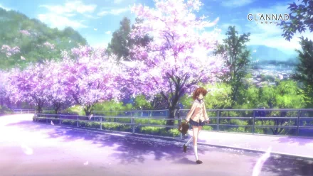 Nagisa Furukawa from Clannad walks beneath blooming cherry trees on a sunlit street — anime HD PC desktop wallpaper/background.