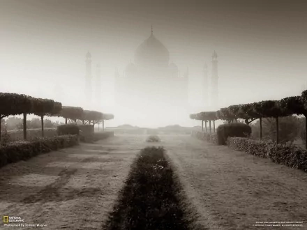 A serene, misty view of the Taj Mahal, framed by neatly trimmed hedges, creates a captivating HD desktop wallpaper and background, highlighting this iconic man-made masterpiece.