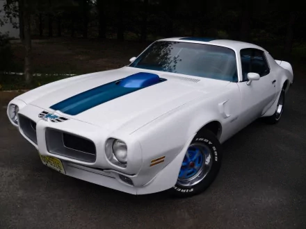 vehicle 1970 pontiac transam HD Desktop Wallpaper | Background Image