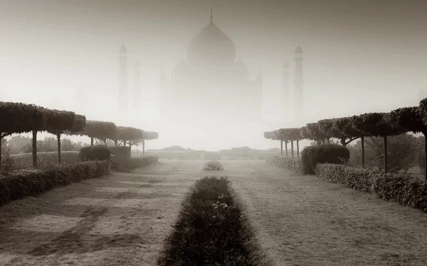 A serene, misty view of the Taj Mahal, framed by neatly trimmed hedges, creates a captivating HD desktop wallpaper and background, highlighting this iconic man-made masterpiece.