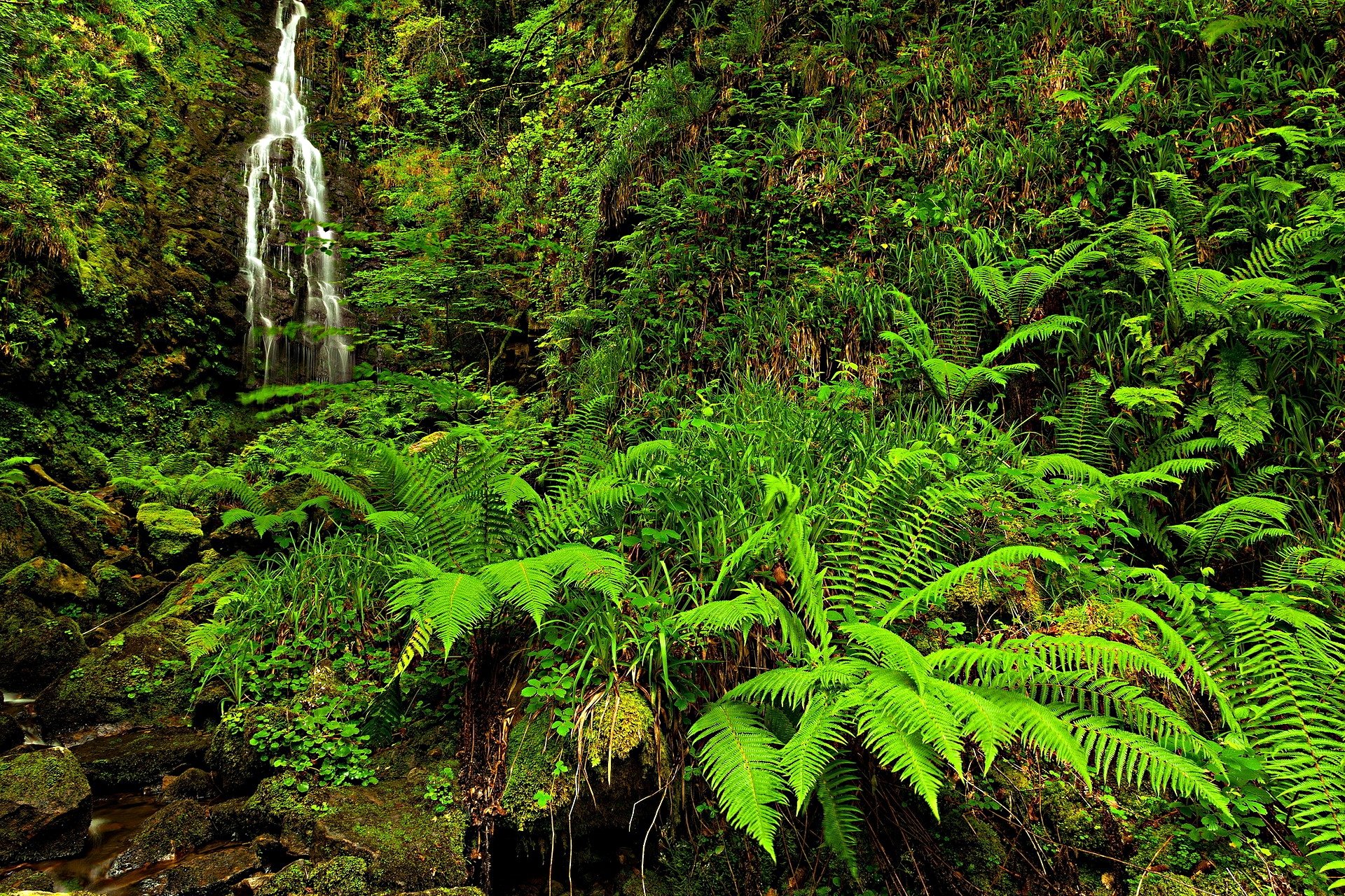 Tranquil Waterfall: HD Nature Wallpaper