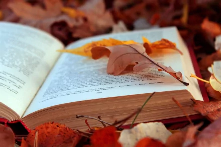 An open book rests on a colorful bed of autumn leaves, showcasing the beauty of nature in fall, blending man-made knowledge with the serene seasonal landscape.