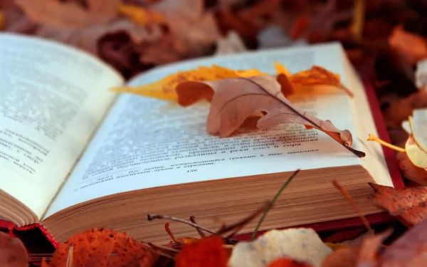 An open book rests on a colorful bed of autumn leaves, showcasing the beauty of nature in fall, blending man-made knowledge with the serene seasonal landscape.