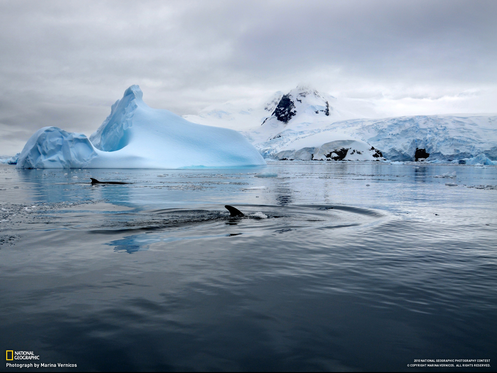 Nature Iceberg HD Wallpaper | Background Image