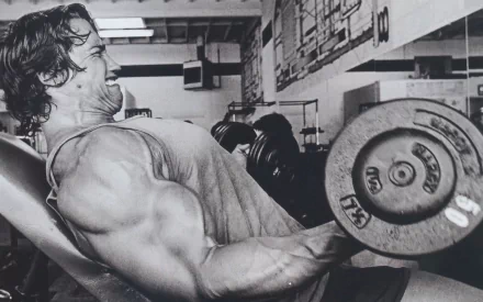 Celebrity Arnold Schwarzenegger HD Desktop Wallpaper | Background Image