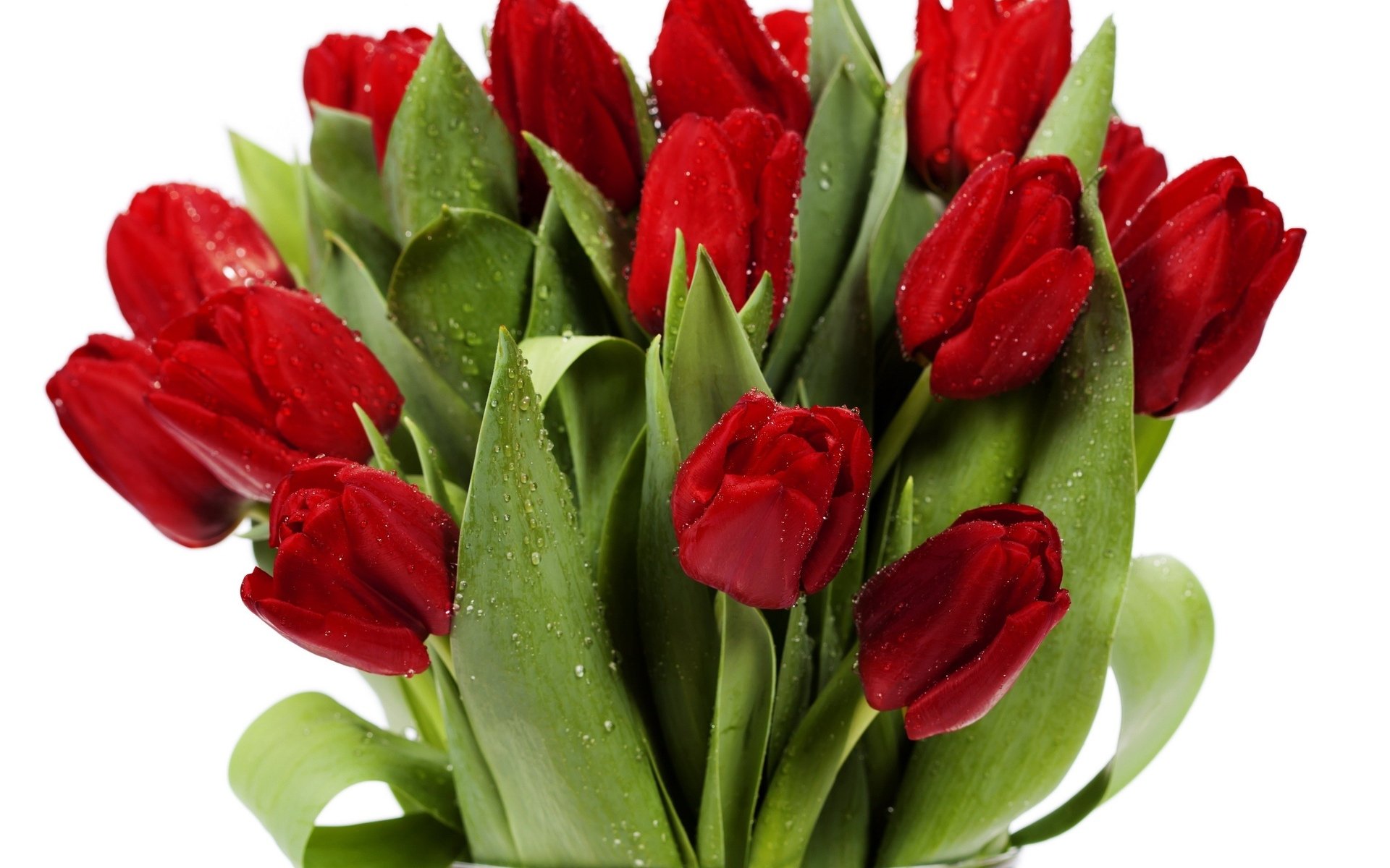 HD desktop wallpaper featuring a vibrant bouquet of fresh red roses with green leaves, highlighting natural beauty and detailed water droplets.