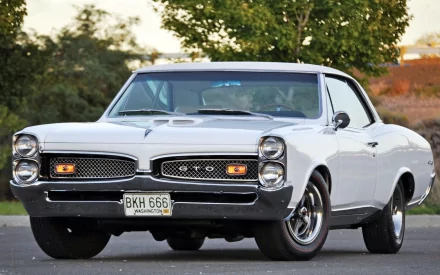 HD PC desktop wallpaper showcasing a classic white Pontiac GTO parked outdoors with trees and clear sky in the background.