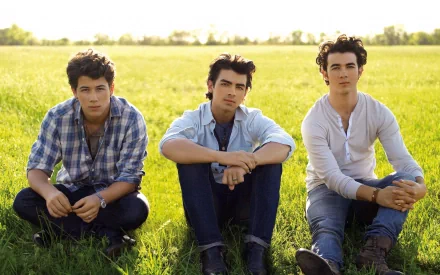 HD desktop wallpaper featuring Nick, Frankie, and Joe Jonas sitting in a sunlit grassy field, representing the Jonas Brothers and their music.