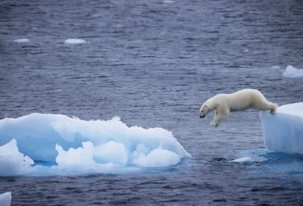 HD PC desktop wallpaper showing a polar bear leaping from one ice floe to another over cold, dark ocean water.