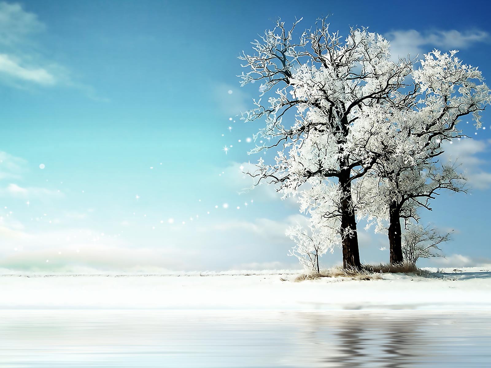 Download Nature Tree Wallpaper