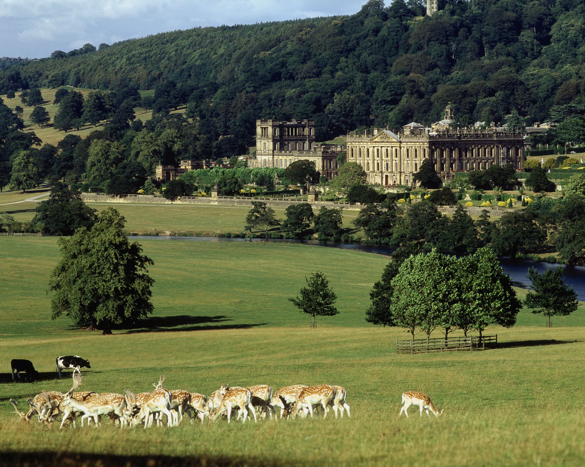 A stunning HD wallpaper featuring a majestic castle set against a lush landscape, with deer grazing in the foreground and rolling hills in the background.