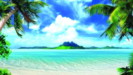 nature tropical HD Desktop Wallpaper | Background Image