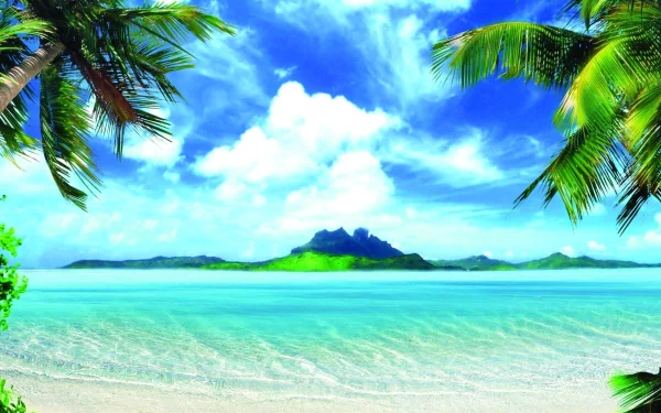 nature tropical HD Desktop Wallpaper | Background Image