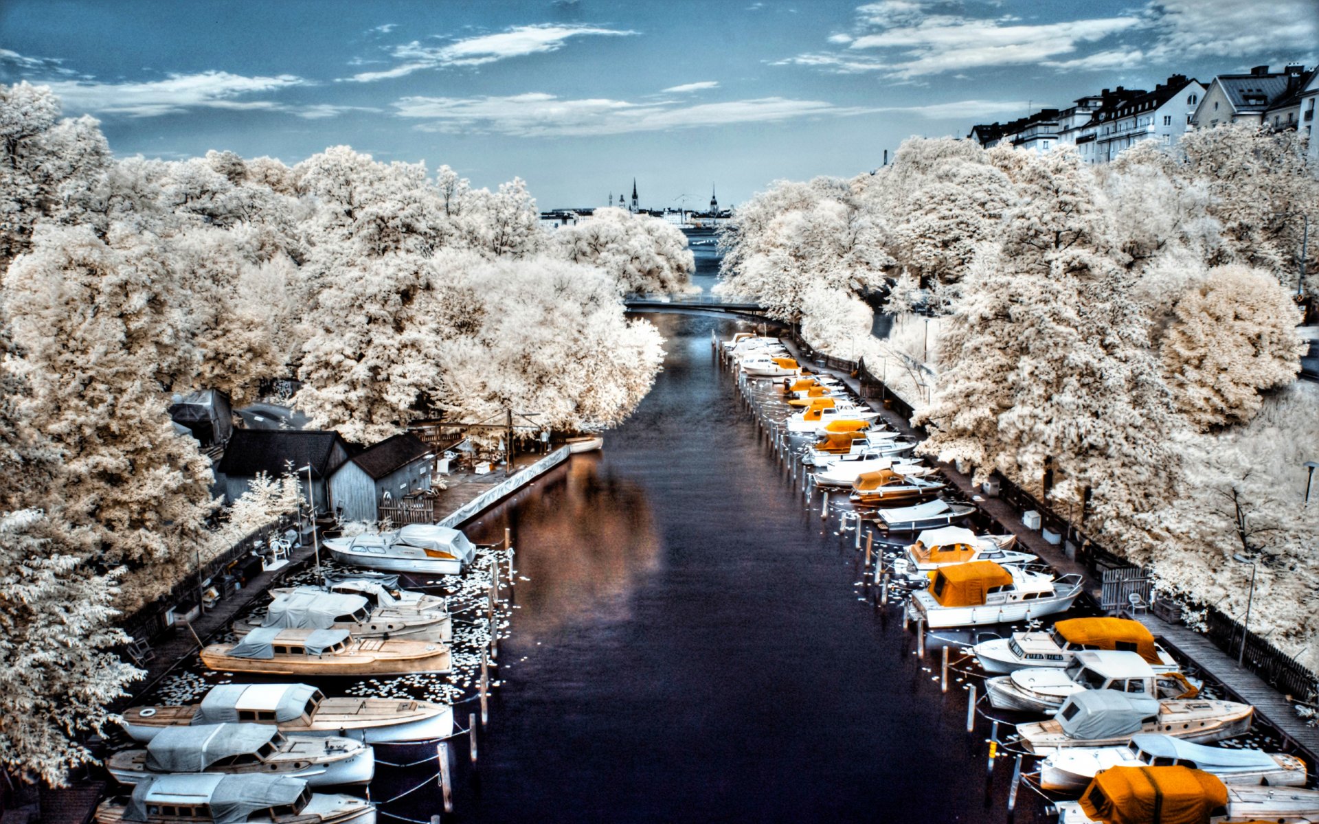 Harbor Full HD Wallpaper and Background | 2560x1600 | ID:400307