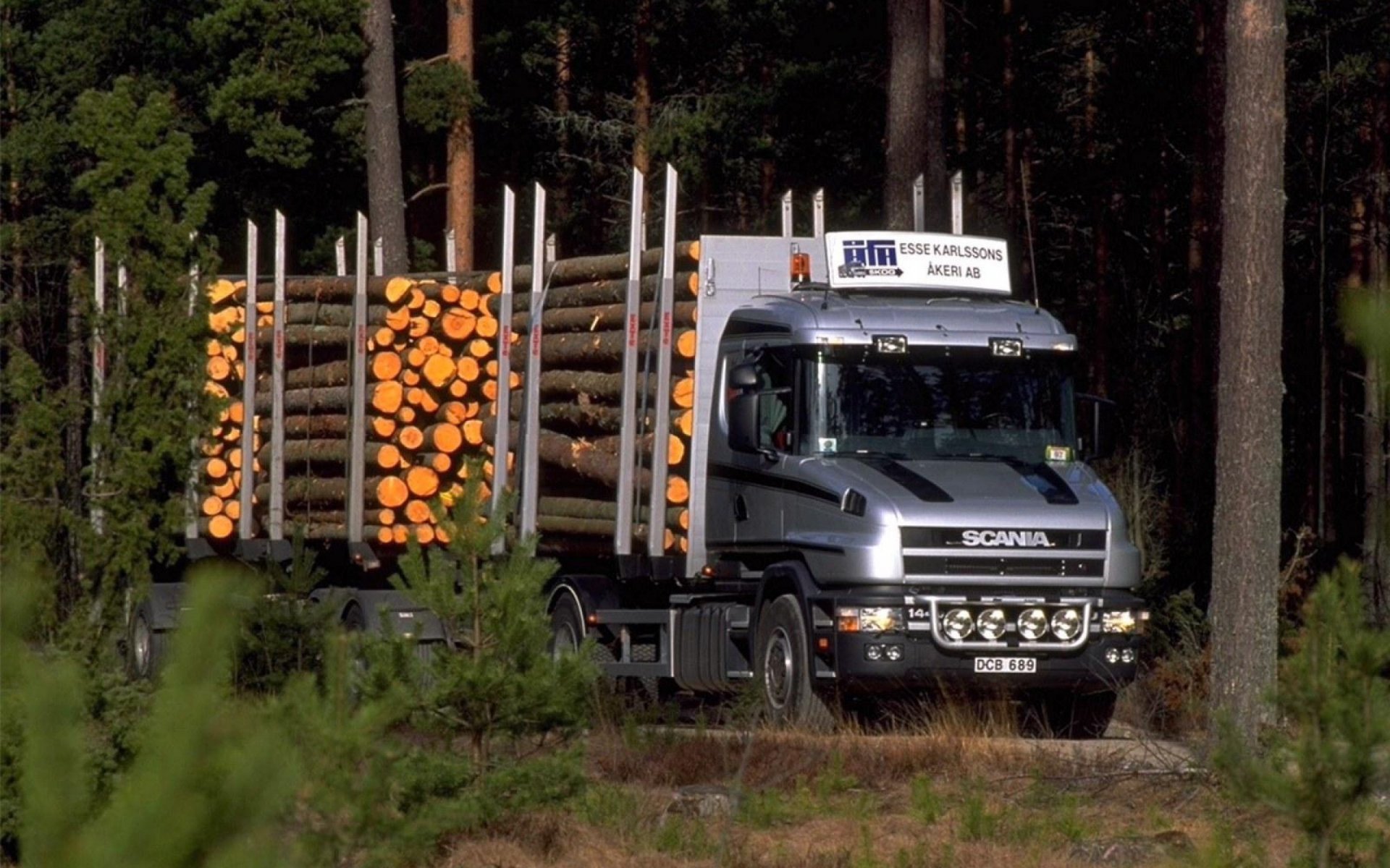 HD PC desktop wallpaper of a Scania vehicle transporting freshly cut logs through a dense forest.